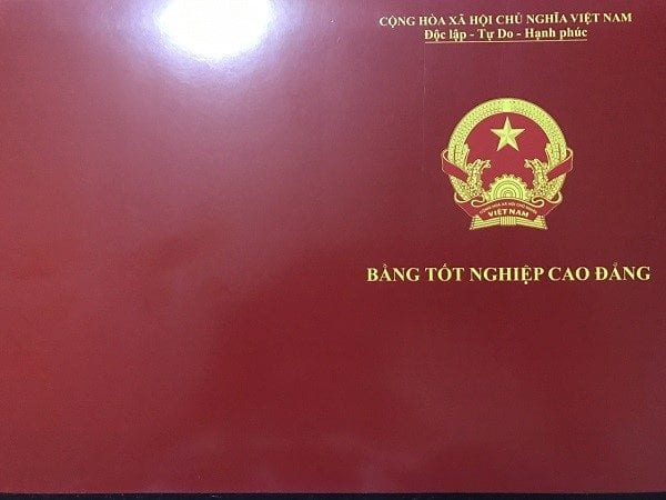 Bạn cần làm bằng cao đẳng miền Nam hãy tìm đến BaoXinViec.com