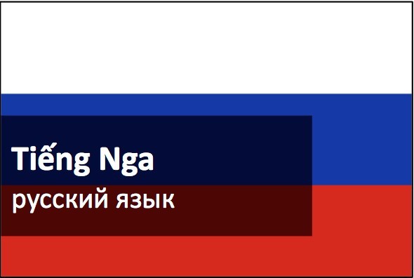 các trình độ trong tiếng nga