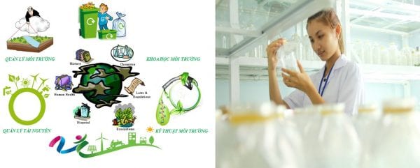 làm bằng đại học tài nguyên môi trường