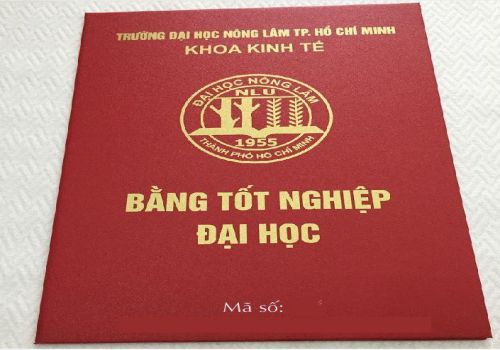 Hướng dẫn cách sửa bằng đại học