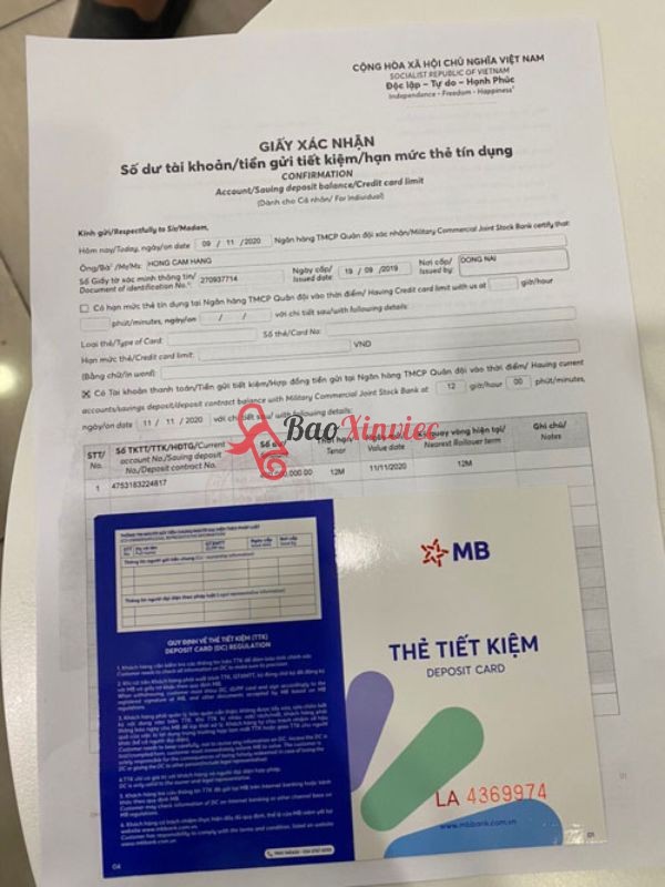 Làm Sổ Tiết Kiệm Giả Không Yêu Cầu Giấy Tờ Tại Bao Xin Việc
