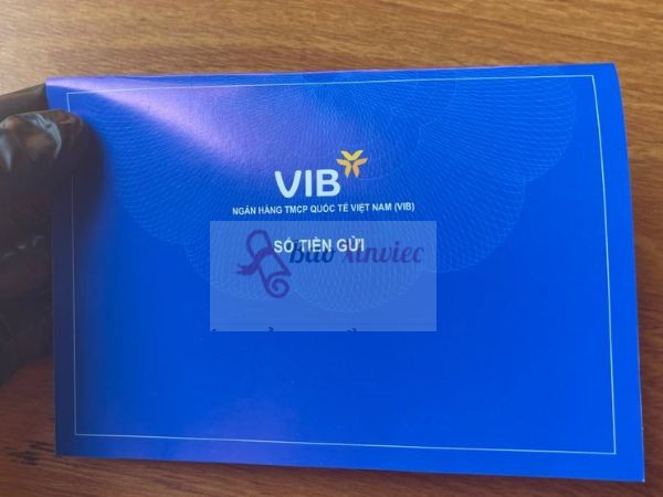 Làm Sổ Tiết Kiệm Giả Không Yêu Cầu Giấy Tờ Tại Bao Xin Việc