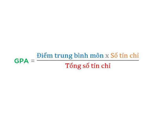 Cập Nhật Cách Tính GPA Đại Học Chi Tiết Năm 2024