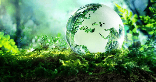 Cơ hội nghề nghiệp của ngành kỹ thuật môi trường