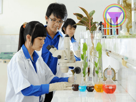 Giới thiệu một số trường đại học đào tạo ngành kỹ thuật môi trường uy tín