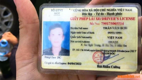 Bằng lái xe hạng FE được phép điều khiển những loại xe nào?