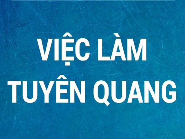 Mức Lương Và Việc Làm Yêu Cầu Bằng Cấp 3 Tại Tuyên Quang Cơ Hội Hấp Dẫn