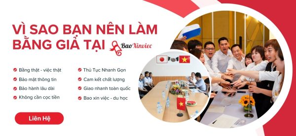 Tại sao nên chọn review làm bằng giả ở Bao Xin Việc?
